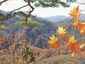 仁豪家居颜色搭配图大全（仁豪家居颜色搭配图大全图片）